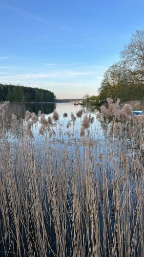a body of water with tall grass in the foreground at Leśna Residence & SPA in Pisz