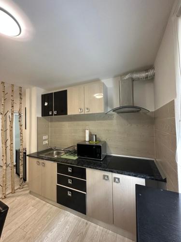 a kitchen with a sink and a microwave at Scandinavia Apartament in Piatra Neamţ