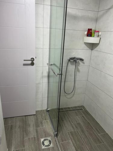 La salle de bains est pourvue d'une douche avec une porte en verre. dans l'établissement Lily, à Belgrade