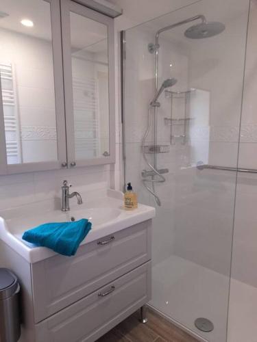 une salle de bain avec un lavabo blanc et une douche dans l'établissement Très Jolie, à Saint-Martin-de-la-Coudre