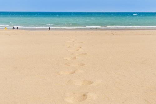 View of What is Net-Zero Architecture? Terms and Design Strategies