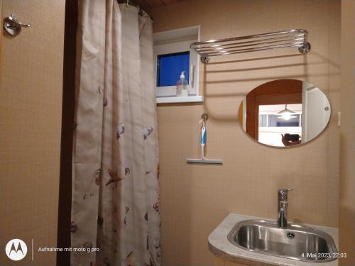 uma casa de banho com um lavatório e um chuveiro com um espelho. em Palmse by Kohvikann em Palmse