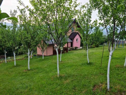 a pink house in the middle of a field with trees at Villa Miševići in Hadžići