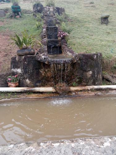 una fuente de agua en un estanque en un patio en Pesqueiro Restaurante e Pousada Pingo de Ouro, en Piedade