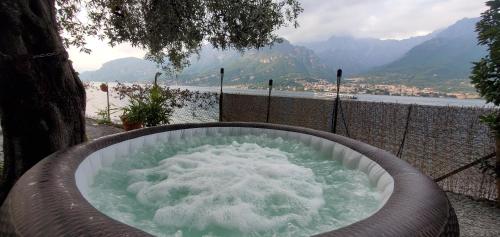 a large tub filled with water in front of a tree at APP Spiaggia Bianca in Onno