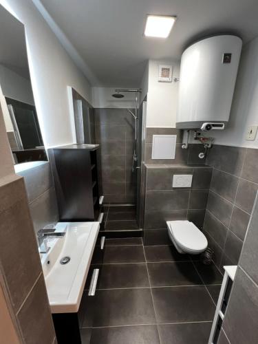 a bathroom with a toilet and a sink at I&T Apartmán v srdci Broumova in Broumov