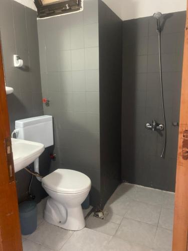ein Bad mit einem WC, einem Waschbecken und einer Dusche in der Unterkunft Deniz Kızı Otel Çeşme in Cesme