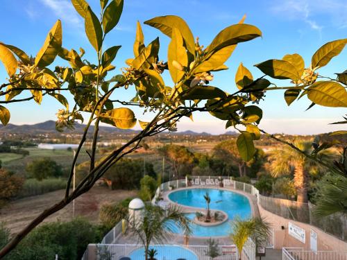 vistas a la piscina desde un árbol en Mobile Home, Camping Le Dattier, Fréjus, South of France en Fréjus