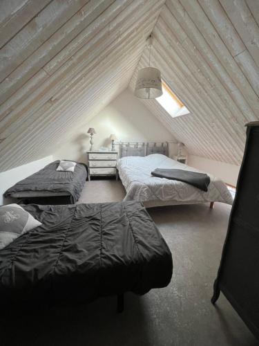 - une chambre mansardée avec 2 lits et un toit dans l'établissement Le Val de Nodicia, à Montlivault