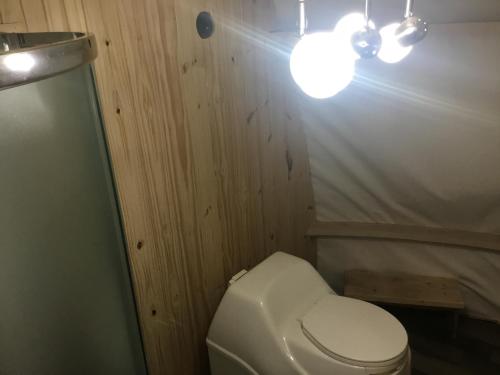 a bathroom with a white toilet and a light at dôme près du lac in Saint-Narcisse-de-Rimouski