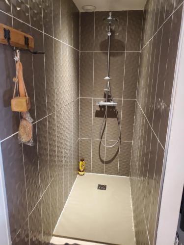 La salle de bains est pourvue d'une douche. dans l'établissement Maison schneid'family, à Jonage