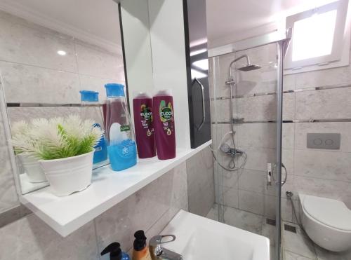 a bathroom with a shower and a toilet and a sink at Denizolgun Homes Gazibulvarı in Dalaman