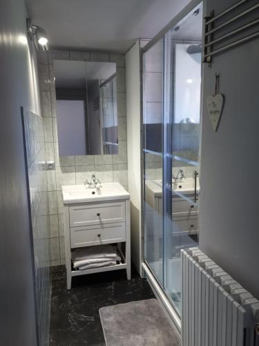 een badkamer met een wastafel en een douche met een spiegel bij La Tuilerie in Pindray