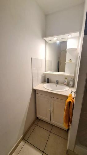 a bathroom with a sink and a mirror at Studio moderne, centre-ville, au calme, parking privé in La Possession