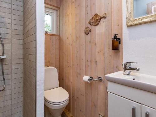 ÅlbækにあるHoliday home Pandrup IIのバスルーム(トイレ、洗面台付)