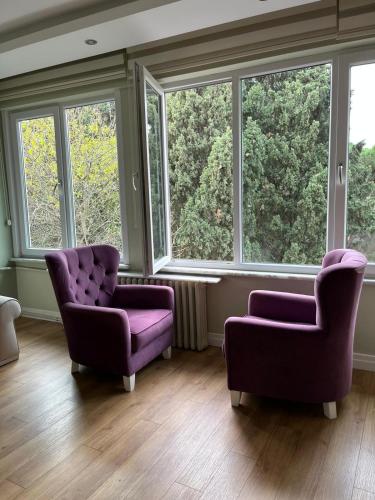 zwei lila Stühle in einem Zimmer mit Fenstern in der Unterkunft Full house in Fenerbahce in Istanbul