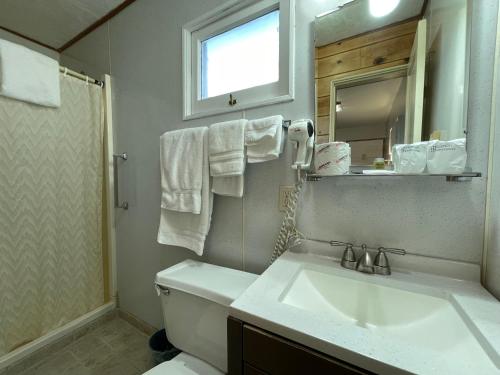 ein Badezimmer mit einem Waschbecken, einem WC und einem Spiegel in der Unterkunft Walla Walla Garden Motel in Walla Walla
