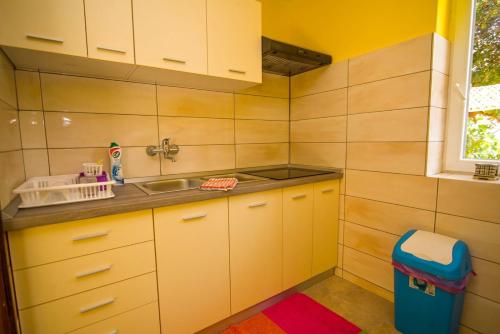 uma pequena cozinha com um lavatório e um lavatório em Apartments with a parking space Losinj, Losinj - 21194 em Mali Lošinj