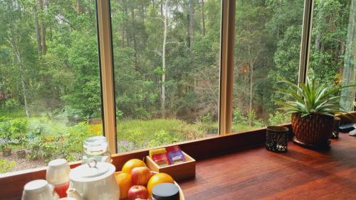 Cosy Studio with Forest Views, Noosa Hinterlandにある庭