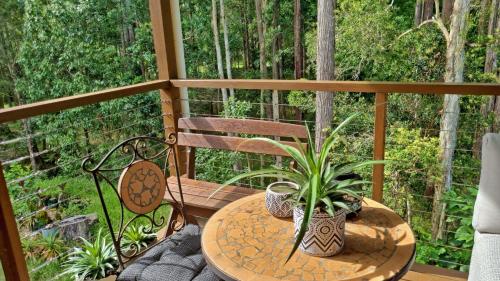 DoonanにあるCosy Studio with Forest Views, Noosa Hinterlandのバルコニー(テーブル、ベンチ、テーブル、椅子付)
