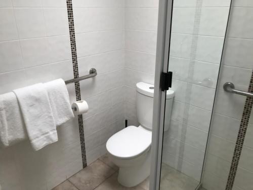 a bathroom with a toilet and a shower at Room Motel Kingaroy East in Kingaroy