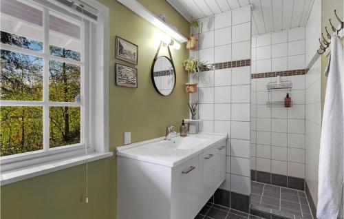 a bathroom with a white sink and a window at Beautiful Home In Munke Bjergby With Kitchen in Munke Bjergby