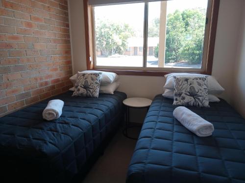 Duas camas azuis num quarto com uma janela em Forster Palms Motel em Forster