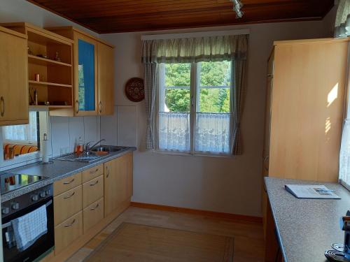 a kitchen with a sink and a window at Burgblick-Hardegg in Hardegg