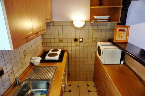 札格雷布的住宿－瑪瑞娜卡公寓，一间带水槽和微波炉的小厨房