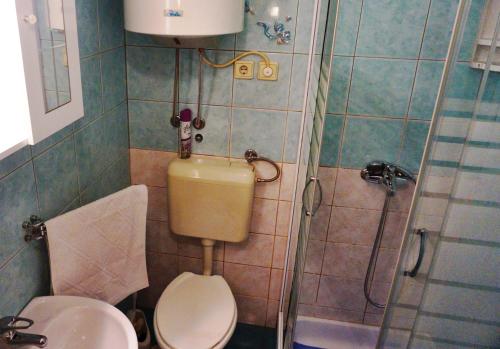 a small bathroom with a toilet and a shower at Marinac Apartment in Zagreb