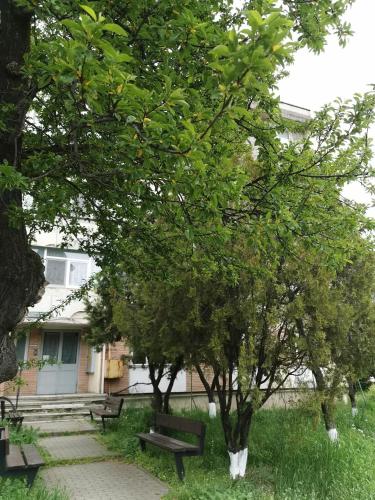 a park with benches and trees in front of a building at Apartament ASR in Piatra Neamţ