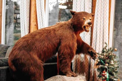 a bear standing on a rock with a christmas tree at The Happy Bear Lodge in Shasta Lake