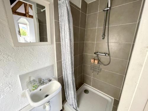 y baño con ducha, aseo y lavamanos. en Le Mirador - Splendide vue sur la Roque-Gageac en Vézac