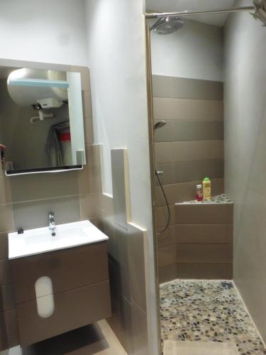 a bathroom with a sink and a shower at Au cosy Provençal centre historique Parking public 300m in Aix-en-Provence
