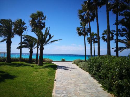 un sentiero che conduce alla spiaggia con palme di Peter Apartment a Ayia Napa