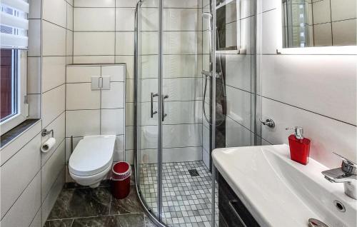 W łazience znajduje się prysznic, toaleta i umywalka. w obiekcie Gorgeous Home In Harzgerode With Kitchen w mieście Harzgerode