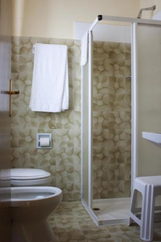 a bathroom with a shower with a toilet and a sink at Hotel Merano in Brenzone sul Garda