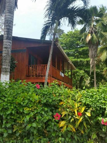 Taman di luar Hotel Cabinas Mar Y Cielo