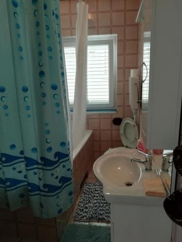 Apartman Zana