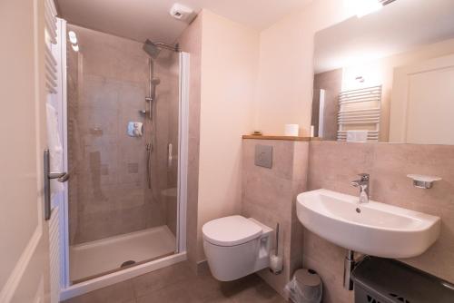 Un baño con inodoro, lavabo y ducha. en Domaine de la durantie - villa avec jacuzzi, en Castelnau-de-Montmiral