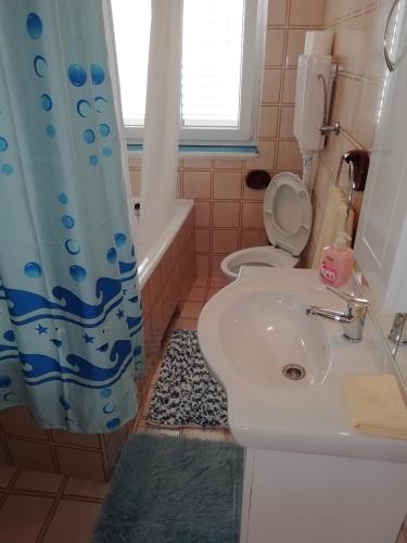 a bathroom with a sink and a toilet and a shower at Apartman Zana in Vodice