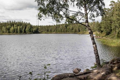 a tree sitting on the side of a lake at Billingehus in Skövde