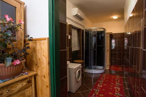 y baño con ducha, aseo y ducha. en Piros Ponty Panzió, en Poroszló