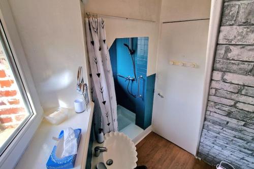 een kleine badkamer met een douche met een blauwe deur bij La Maison De Nelly labellisé 3* in Mouzon