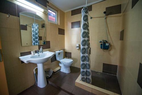 ナボダリにあるCasa Dumitrescuのバスルーム(洗面台、トイレ、シャワー付)