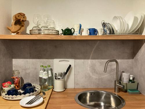 un comptoir de cuisine avec un évier et une étagère avec de la vaisselle dans l'établissement Podere La Paolina, à Montefollonico