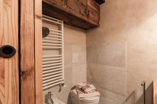 een badkamer met een toilet, een wastafel en een douche bij La Meison des Marronniers CIR 0016 in Saint-Rhémy-en-bosses