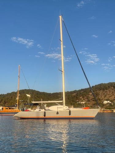 un velero sentado en el agua sobre el agua en Velero Beneteau Gybsea 50 en Ibiza