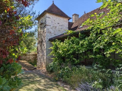 une vue extérieure sur une maison plantée de vignes dans l'établissement Le Figuier, Large house with pool, gym & separate gite, à Saint-Ythaire