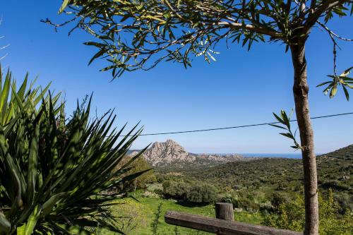 Gallery image of Relais de Saleccia in Casta